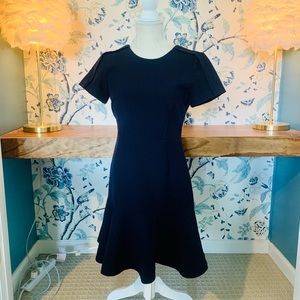 Banana Republic Navy Blue Dress